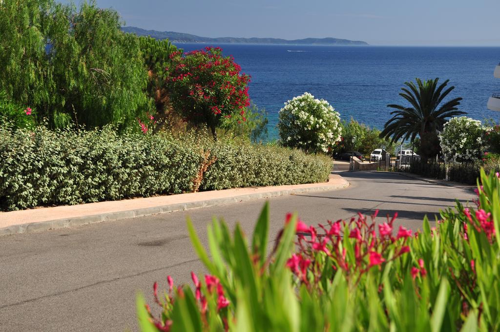 F2 Le Lavezzi * Ajaccio (Corsica)